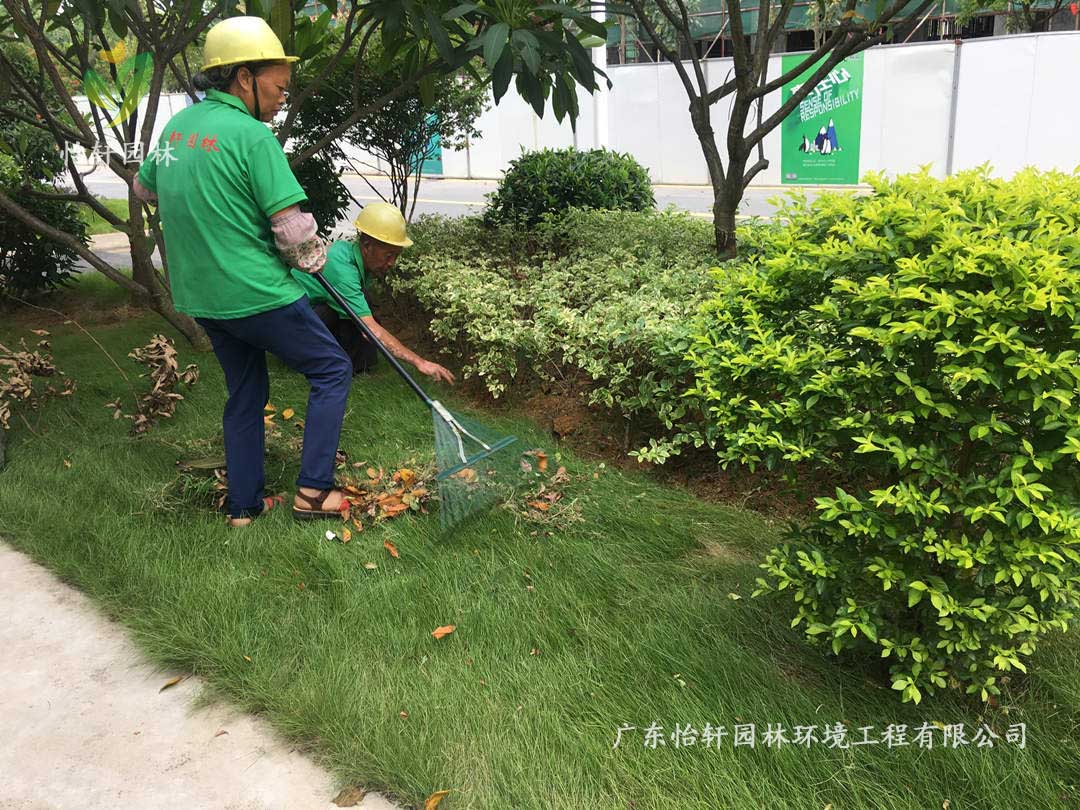 广州御湖名邸小区绿化养护