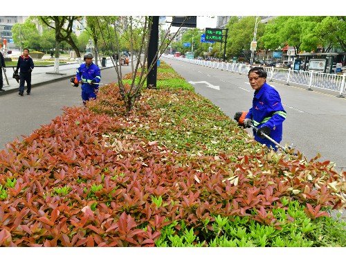 新疆城市绿化面积排名表