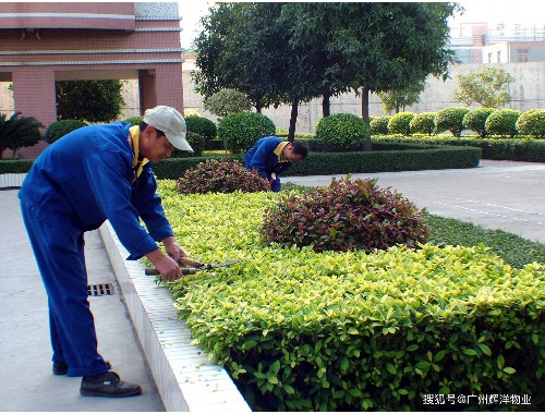 祥泰园艺绿化工程